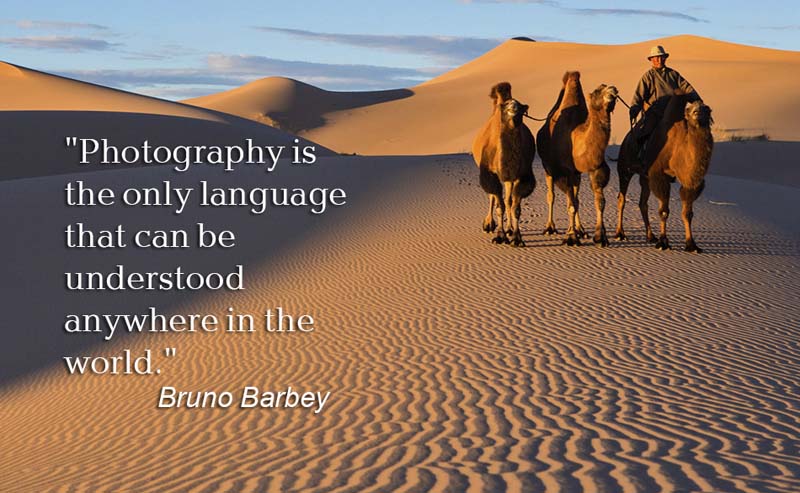 mongolia photography tours